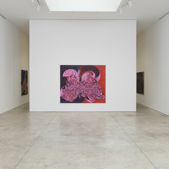 Yuan Fang, Spaying, exhibition view. Courtesy of Skarstedt Gallery
