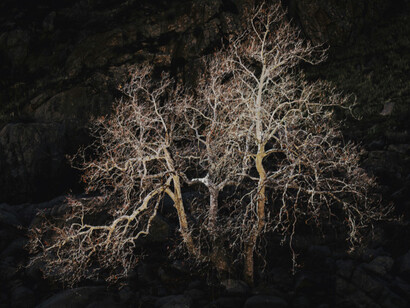 Un système de relations plutôt qu’un centre unique