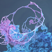 Reconnecting with the World. Courtesy of Frankfurter Kunstverein