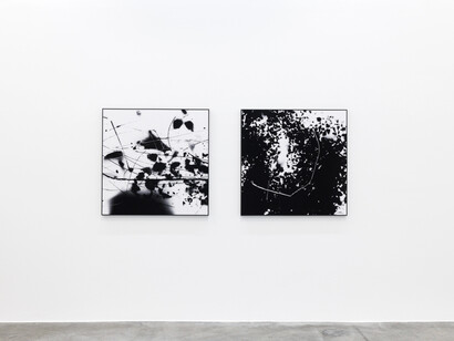 Anahita Razmi, The task of the mythologist, exhibition view. Courtesy of CARBON 12