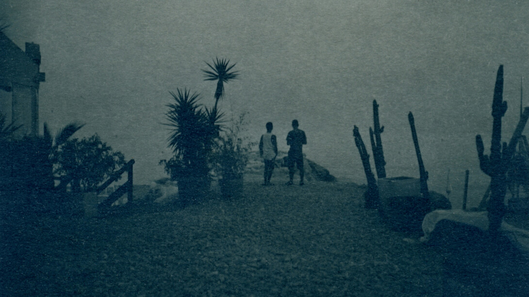 Thibaud Yevnine, Sans titre, cyanotype (détail), 2025. Avec l'aimable autorisation de La Châtaigneraie © Thibaud Yevnine