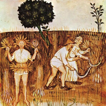 Ilustración incluida en el Tacuinum sanitatis