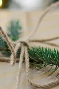 O fim de ano traz um momento de reflexão sobre as festas, a vida, e como nossas escolhas impactam o mundo. Um tempo de pensar menos em presentes e mais nas pessoas presentes ao nosso lado, com esperança no futuro