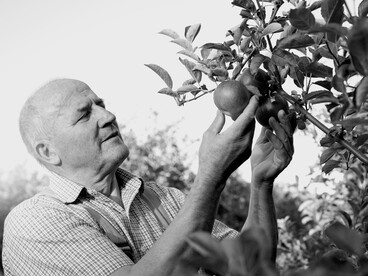 Sapori, odori e colori stimolano i sensi e modulano il nostro umore quotidiano