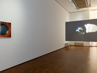 Pauline Hafsia M’barek, Entropic records, exhibition view. Courtesy of Museum Ludwig