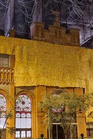 Fundación Tàpies, instalación "Más allá de la Piel", 2024, Barcelona, España