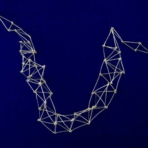 Flor Areinamo, Un bosque de neuronas. Cortesía de ABRA