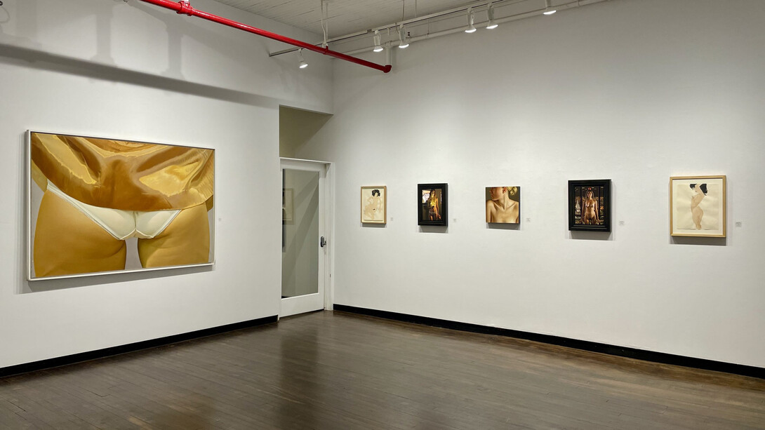 Various artists, Skin, exhibition view. Courtesy of Louis K. Meisel Gallery