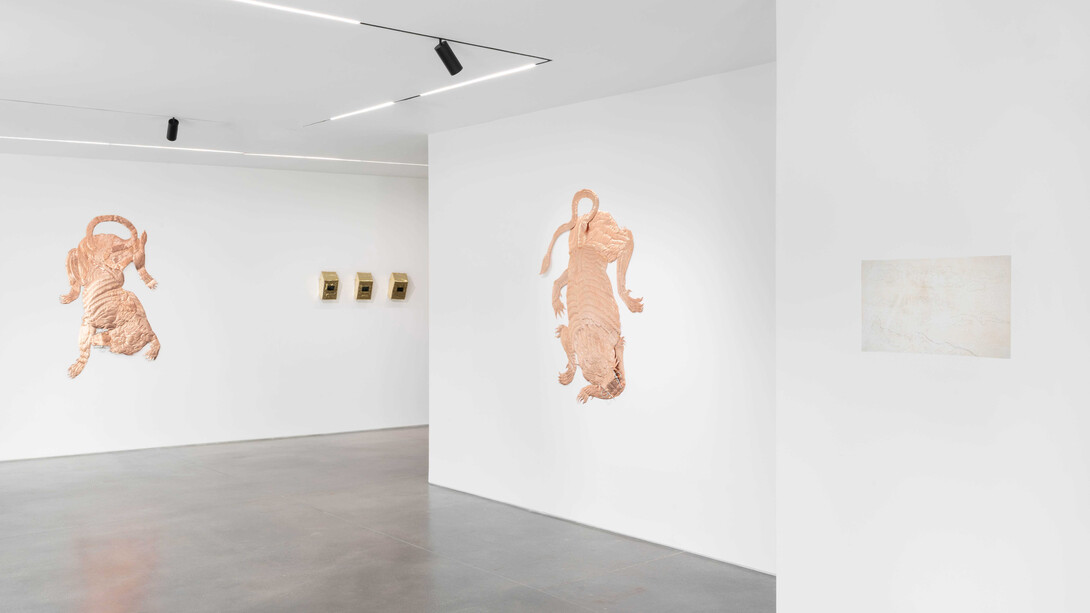 Bekhbaatar Enkhtur, Tinct, exhibition view. Courtesy of Galeria Pedro Cera