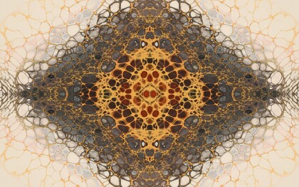 Economia e olismo non solo possono convivere, ma insieme generano valore più ricco, duraturo e autentico