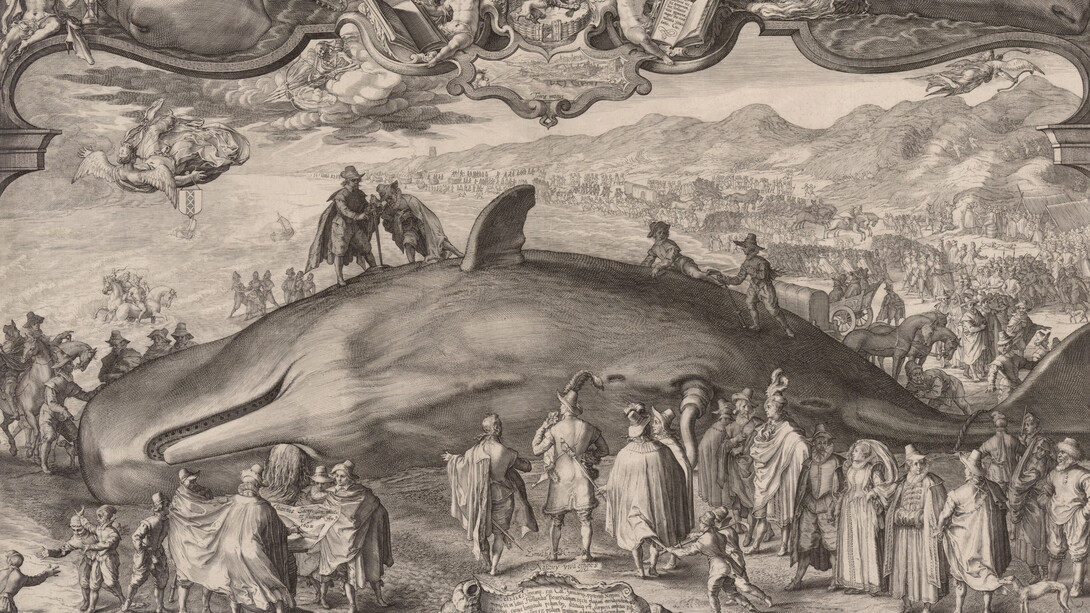Jan (Pietersz.) Saenredam, Beached whale at Wijk aan Zee, 1602. Courtesy of the Metropolitan Museum of Art