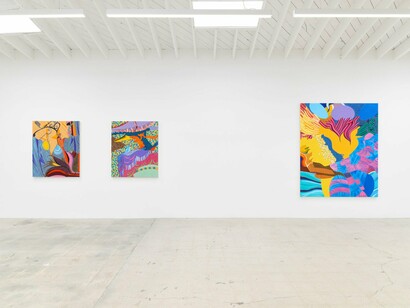 Heather Guertin, The radiant edge, exhibition view. Courtesy of Anat Ebgi 