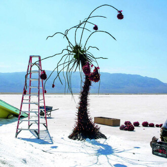 Lauri Gaffin, SPFX, Land of the lost, 2009. Courtesy of Gallery XII