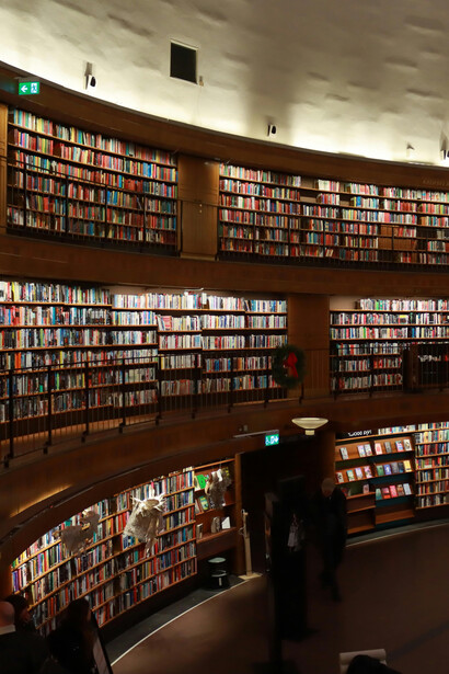 La vocación universitaria nace muchas veces del encuentro entre maestros, lecturas y comunidades académicas que enseñan a mirar la historia como una expresión profunda de la cultura y la libertad humana