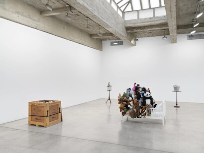 Mark Dion, exhibition view. Courtesy of Tanya Bonakdar Gallery