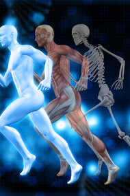 Você já deve ter ouvido falar no termo biohacking e talvez tenha imaginado algo futurista, distante da realidade cotidiana, ou até mesmo ligado a procedimentos invasivos e tecnologias complicadas. No entanto, o biohacking é, em essência, o conjunto de estratégias — muitas vezes simples, outras mais avançadas — que as pessoas utilizam para otimizar o funcionamento do corpo e da mente. No esporte, essa prática tem ganhado cada vez mais espaço, pois atletas buscam maneiras de elevar seu desempenho, acelerar a recuperação e prolongar a longevidade esportiva. Mas afinal, o que é biohacking no esporte? Quais são os mitos que cercam essa prática? E o que a ciência realmente diz sobre ela?