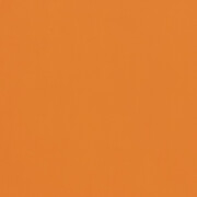 Macaparana, Sem título (detail), 2024. Courtesy of Proyectos Monclova