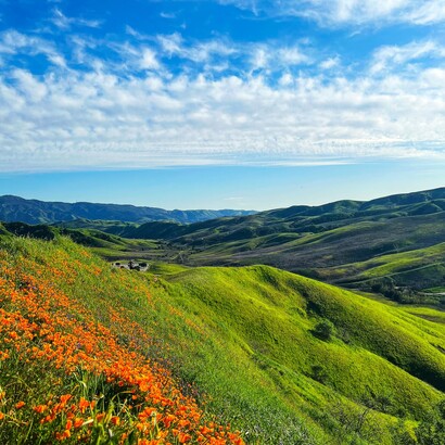 I colori della natura stimolano emozioni positive e contribuiscono al rilassamento mentale