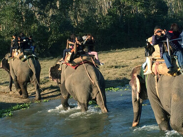 Elephant ride through Chitwan National Park, Nepal