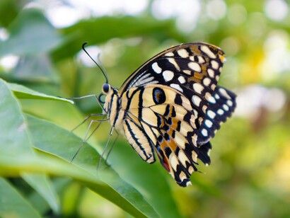 Ogni generazione reinterpreta il suo ambiente: l’uomo moderno e la tecnologia convivono sulla stessa tavola della storia