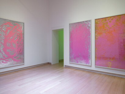 Pamela Rosenkranz, Liquid body, exhibition view. Courtesy of Stedelijk Museum