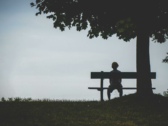A lone figure sitting on a bench beneath a tree, capturing a quiet moment of solitude