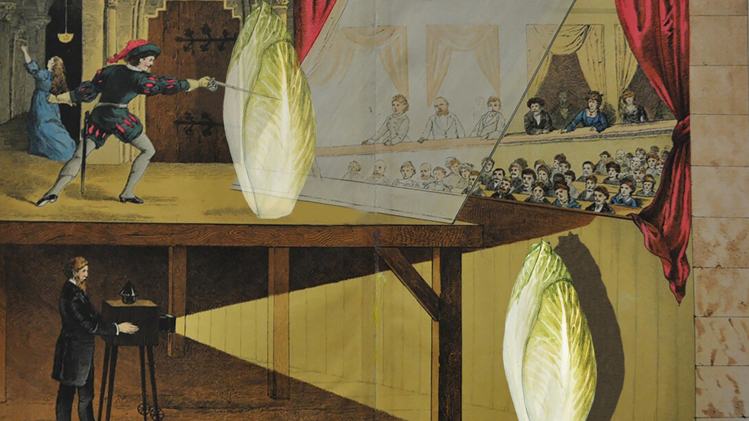 Grégoire Motte, Pepper ghost - witloof (detail), 2023. Courtesy of Centrale | vitrine © G. Motte