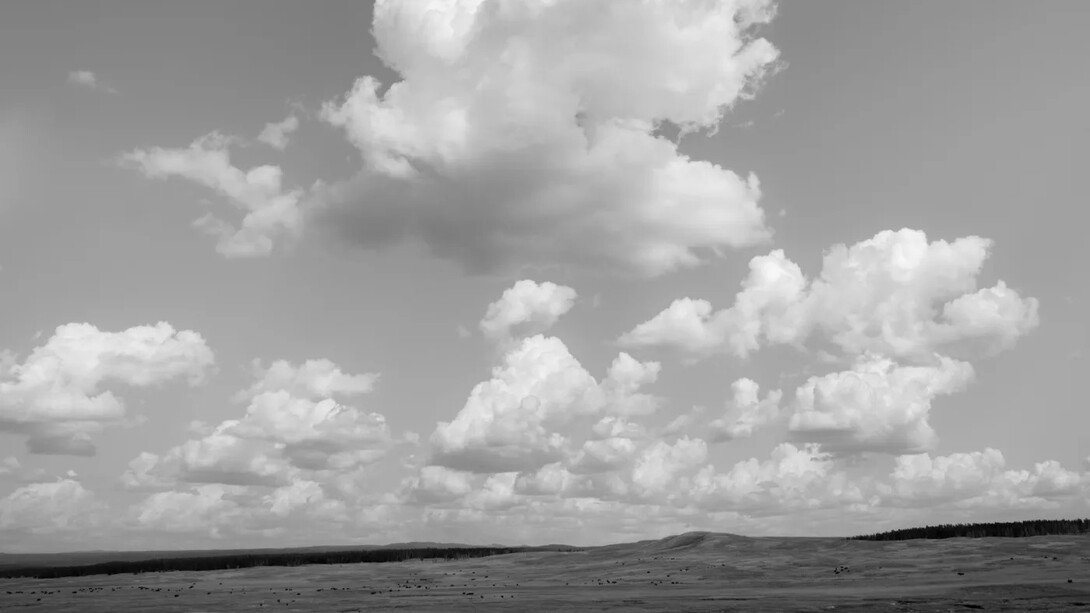 Bryan Schutmaat, Western skies. Courtesy of Galerie Wouter van Leeuwen