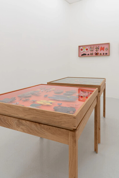 Sune Christiansen, Arter, exhibition view. Courtesy of Bricks Gallery