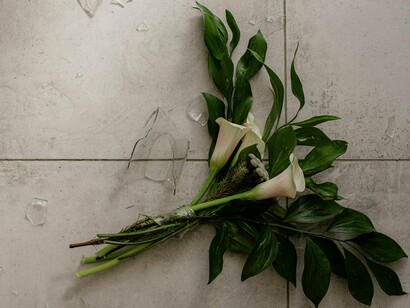 O tempo foi passando e as caminhadas eram quase diárias, com exceção de dias chuvosos. E eles cada dia mais próximos, já criando sentimentos um pelo outro. Tudo foi ficando tão intenso que, numa manhã ensolarada e silenciosa, ele se ajoelhou em frente a ela e, como num filme de cinema mudo, deu-lhe uma aliança. Ela abraçou-o em prantos