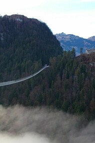 Bridges symbolize change and flexibility