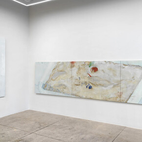 Mai Takeshita, Living landscapes, exhibition view. Courtesy of Alison Bradley Projects