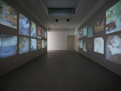 Various artists, The lure of the image, exhibition view. Courtesy of Fotomuseum Winterthur