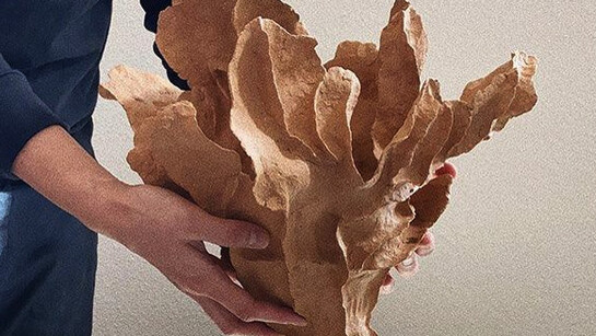 "Como diseñador gráfico, estaba acostumbrado a trabajar frente a una computadora todo el tiempo. Trabajar con cerámica te permite crear algo tridimensional, palpable y que se puede terminar en ese mismo instante. Esto era algo completamente diferente para mí