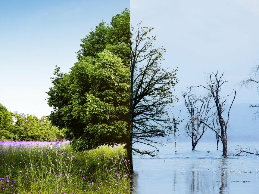 The future of the world: optimism vs pessimism