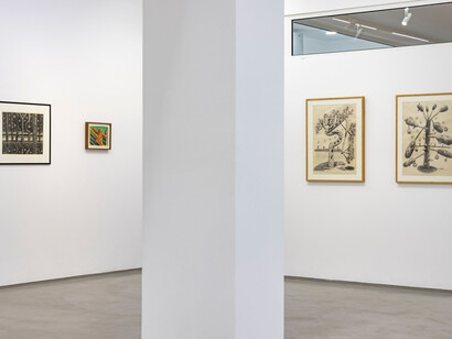 VN Jyothi Basu, The outlier, exhibition view. Courtesy of Galerie Mirchandani + Steinruecke