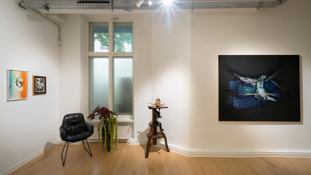 Helga Schmidhuber, Morpheus mango mau, ausstellungsansicht. Mit freundlicher genehmigung der Aoa;87 Gallery. Foto von Dotgain