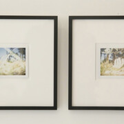Polaroids: The Disappearing. Courtesy of Nathalie Karg Gallery