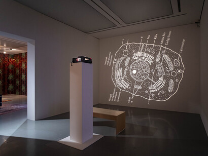 Cauleen Smith, The volcano manifesto, ausstellungsansicht. Mit freundlicher genehmigung der Kestner Gesellschaft