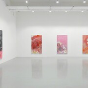 Rita Ackermann, Kline Rape, Exhibition view. Courtesy of Hauser & Wirth