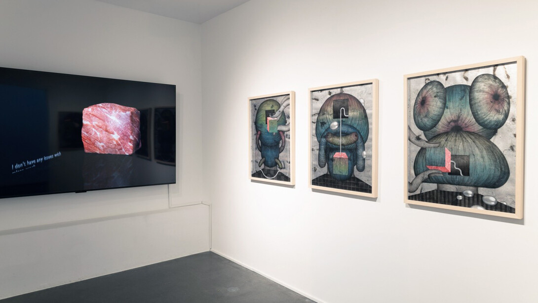 Jen Liu, Pound of flesh, exhibition view. Courtesy of Silverlens