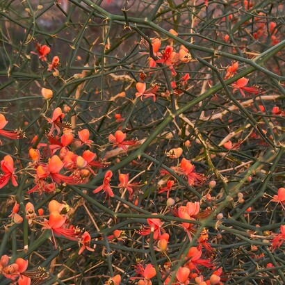 Cambiare vita richiede di lasciare strade sicure per sentieri sconosciuti, assumendosi il rischio di sbagliare