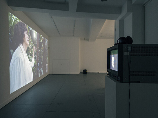 Una Knox. sounding out plant hunters, space seekers, listeners, fakers, keepers, installation view