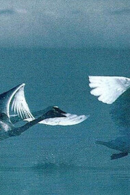 C’è un centro sopra la terra e uno sotto la terra