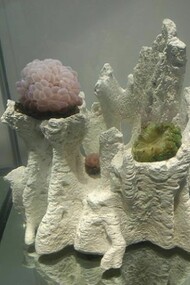 David Casini. Planète bleue