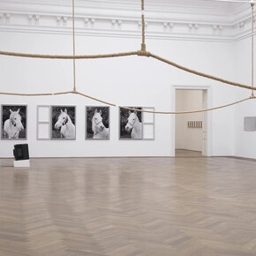 Various artists, After the afternoon. Regionale 26, exhibition view. Courtesy of Kunsthalle Basel