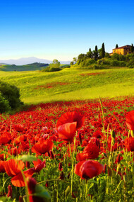 Tuscany, a region very attached to his traditions