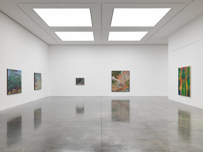 Various artists, Alien shores, exhibition view. Courtesy of White Cube Gallery