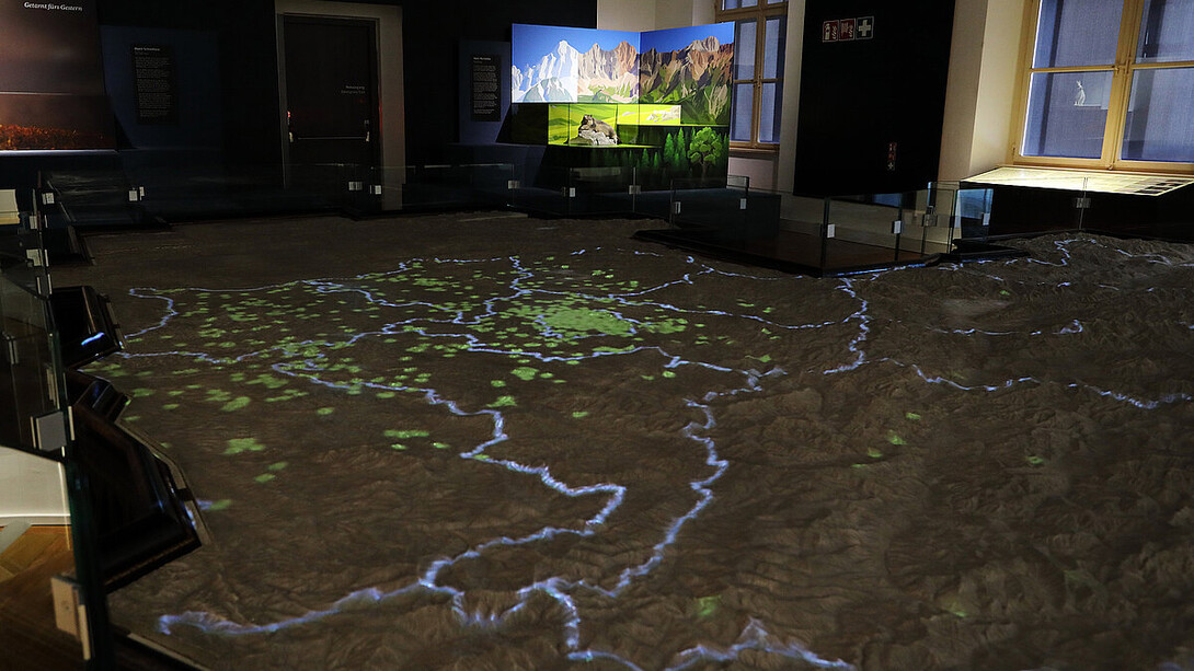 Schnee war gestern, ausstellungsansicht. Mit freundlicher genehmigung des Naturhistorischen Museums