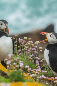 What are you telling me?